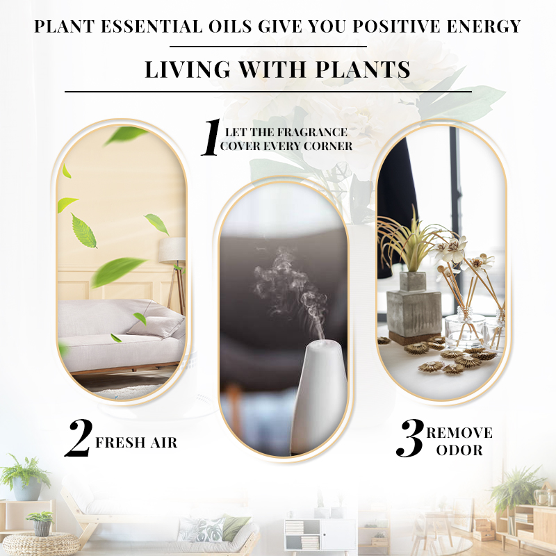 EVOKE Jasmine Fragrance 100ml  - Perfume Fragrance Enhancer recension och pris
